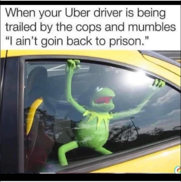 1744242603329.jpeg