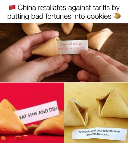 1744246900686.jpeg
