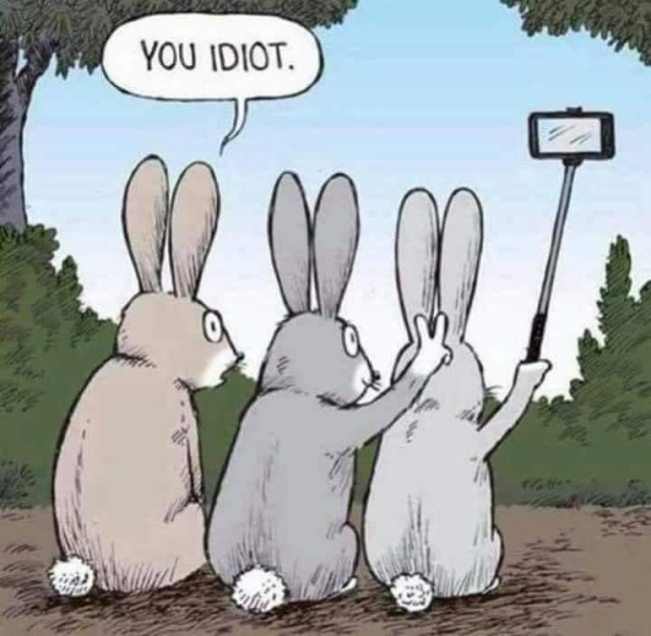 1744581286401.png