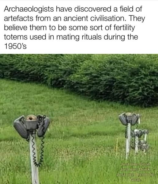 1744660214318.jpeg