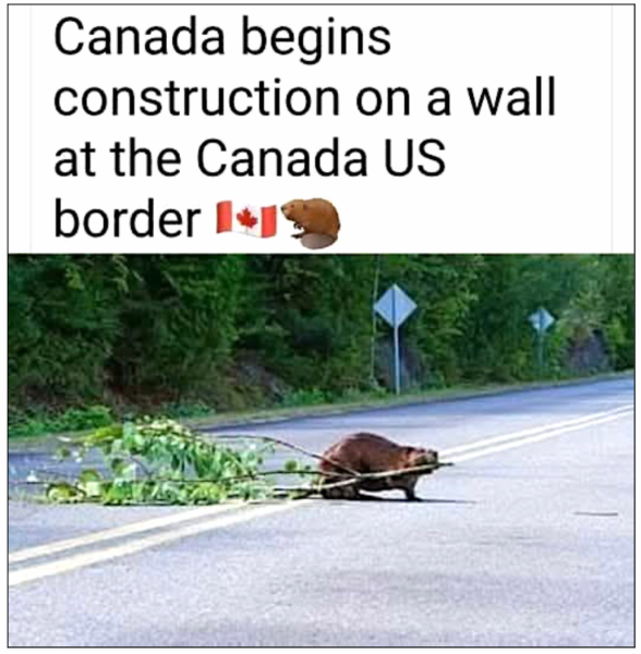 1745139063644.png