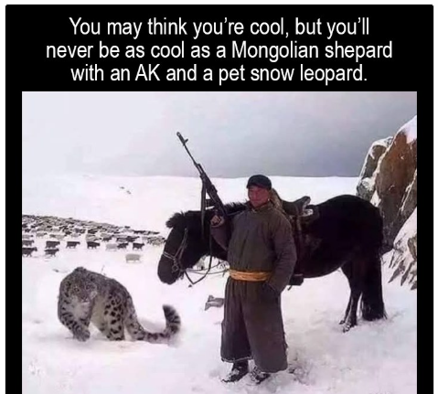 1745315101214.png