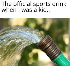 1745379861939.jpeg