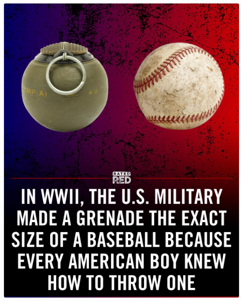 1745399309662.png