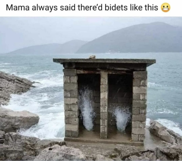 1745399557796.png