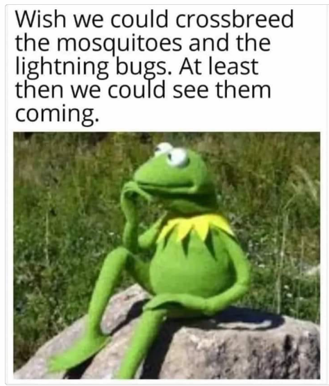 1745488962720.png