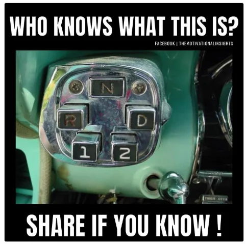 1746269768357.webp