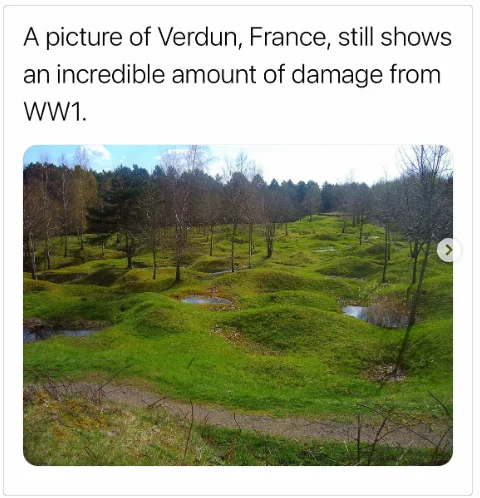 1746877705223.webp