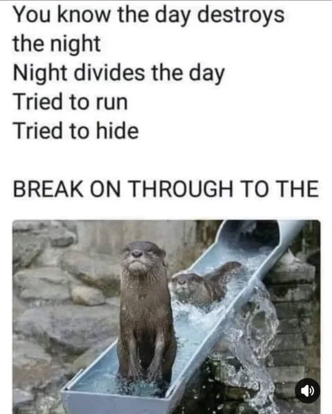 1746956418508.webp