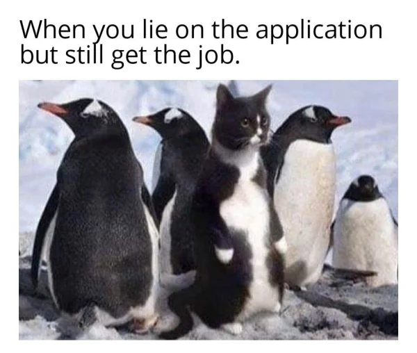 1747530690391.webp
