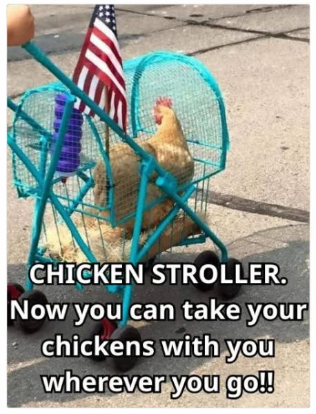 1748770141367.webp