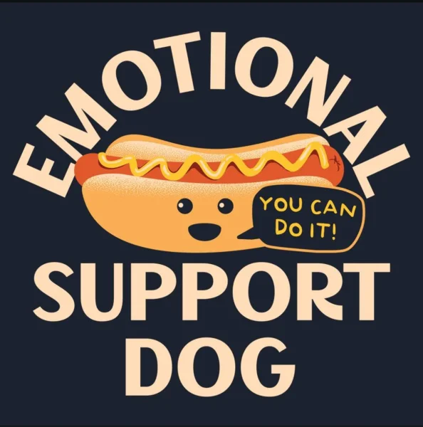 1749195069867.webp