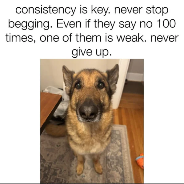 1749725491914.webp