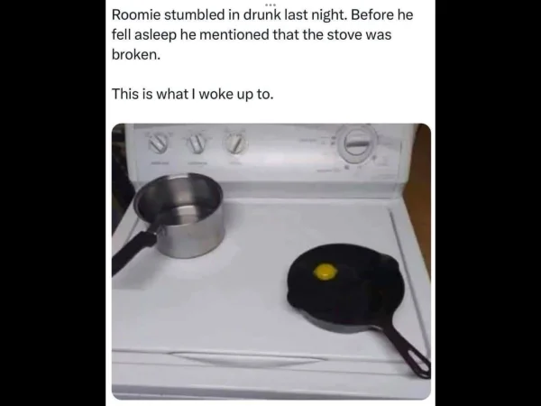1751547501976.webp