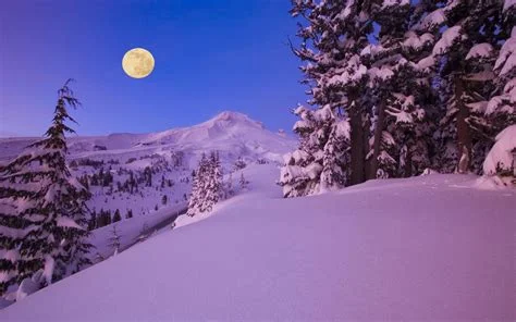 1753064544198.webp
