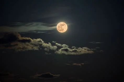 1753236424333.webp