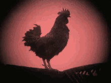1753954163993.gif