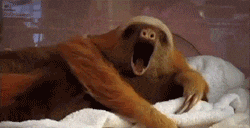 1754191790162.gif
