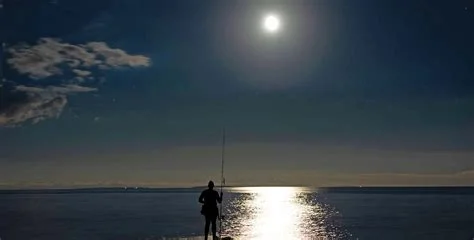1754281929654.webp