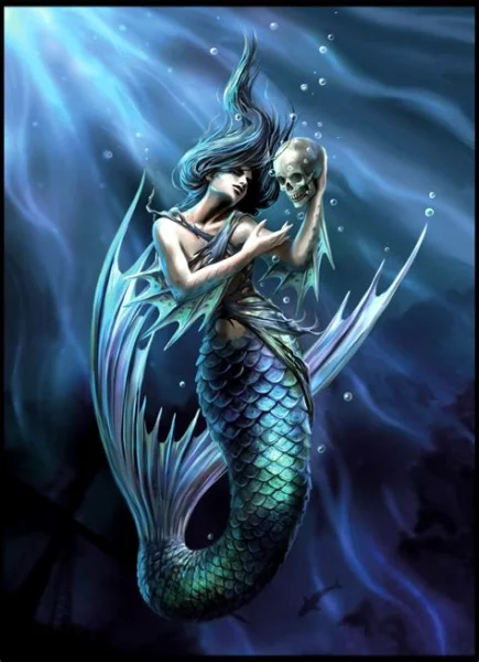 1754706072581.webp