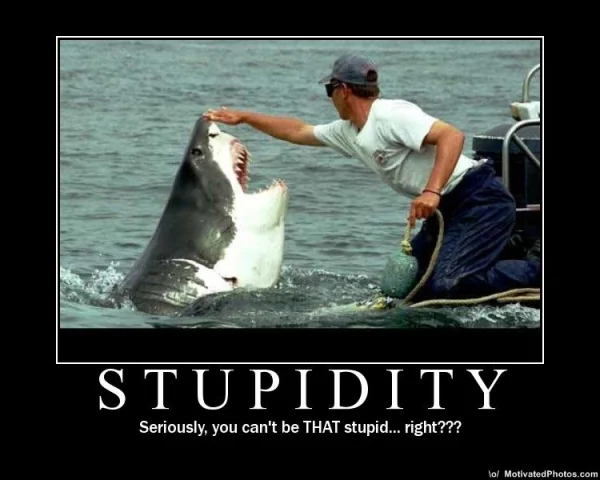 1755944826056.webp
