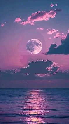 1756171077362.webp