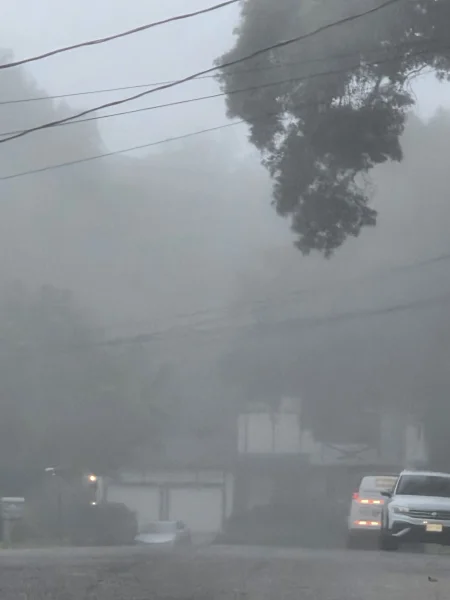 17567.webp