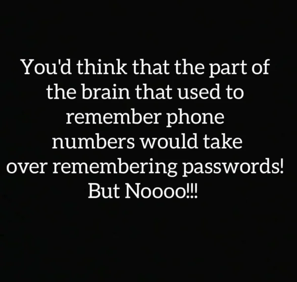 1756780310002.webp