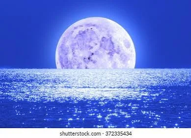 1759293631716.webp