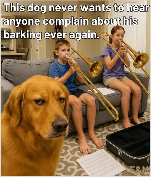 1759864988902.webp