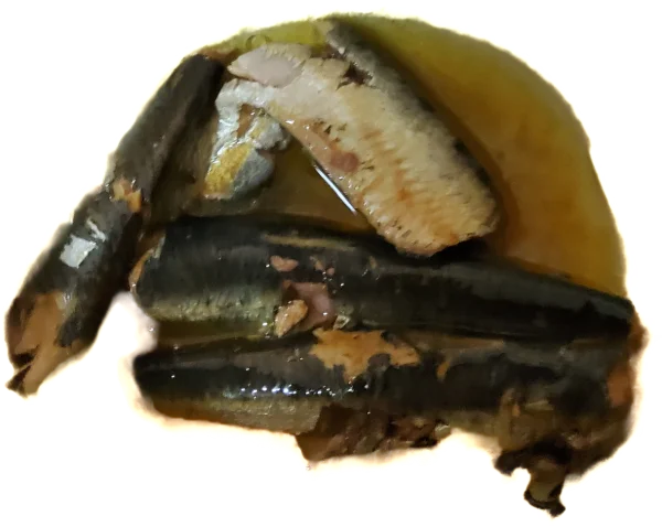 1777829512711.webp