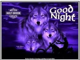 1778459528894.webp