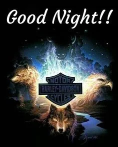 1779410969496.webp