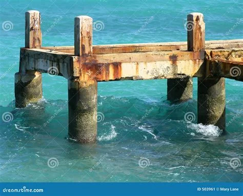 1783386370267.webp