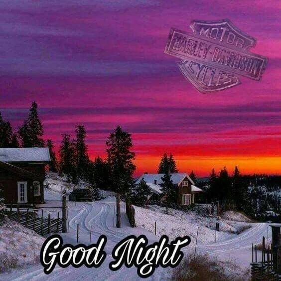 1783819754398.webp