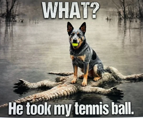 1788861313561.webp