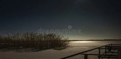 1791177404147.webp
