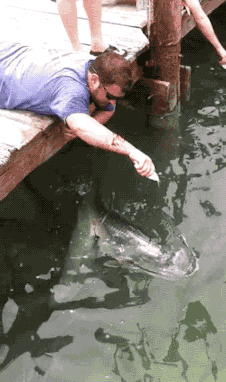1791342517523.gif