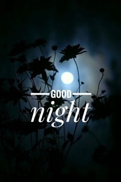 181D9F17-697C-4254-8BE2-A6834FF6E0BE.webp