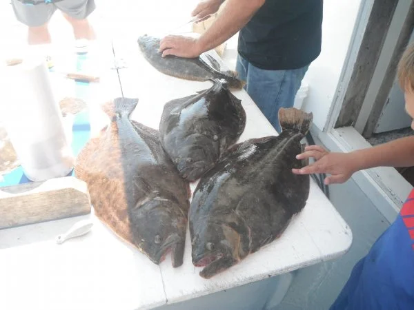DSCF2102.webp