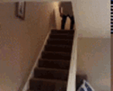 1FFBD2D8-1AD6-4042-8D39-1CE20B76ADE8.gif
