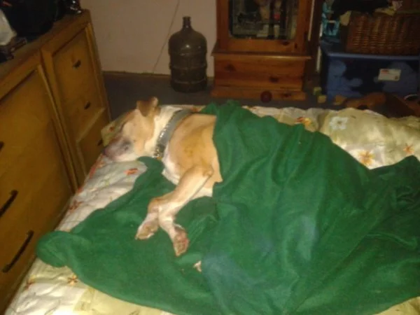 20121211_224056.webp