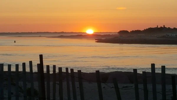 20190525_052623.webp