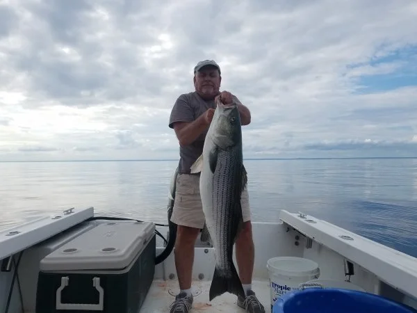 20190617_171307.webp