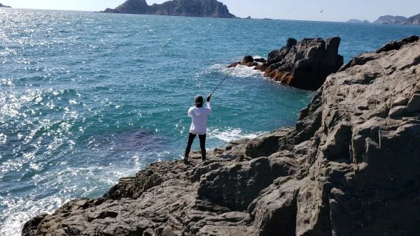 20190830_154718 - Copy.webp