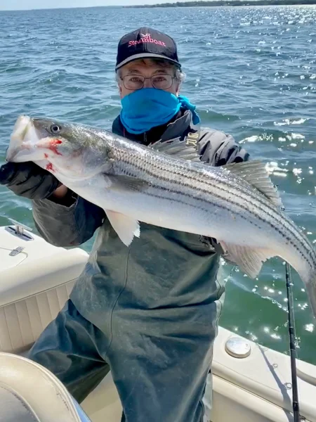 2020 May 5 Bass.webp