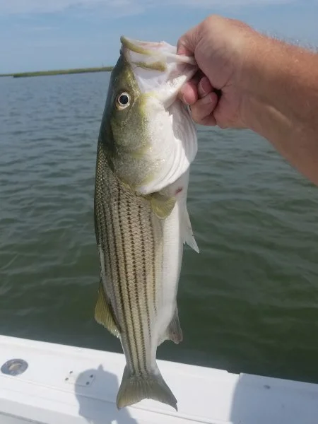 20200828_122917.webp