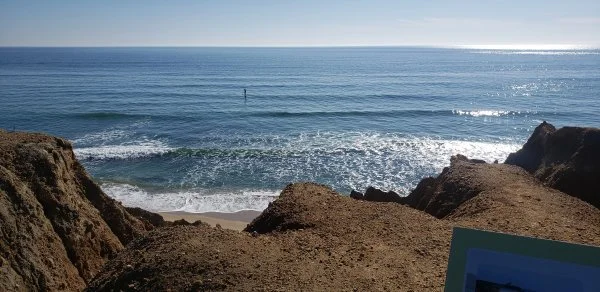 20201109_111501.webp