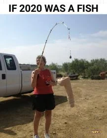 2020fish.webp