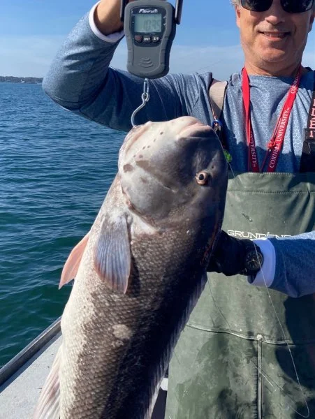 2022 10lb Black.webp